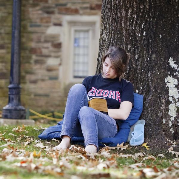 一个学生在树下学习.